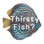 Thirsty fish txt Conscious business 150x140