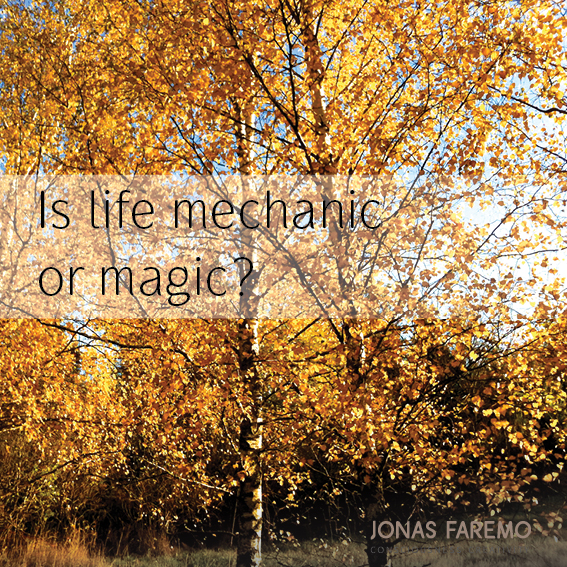 Is life mechanic or magic?